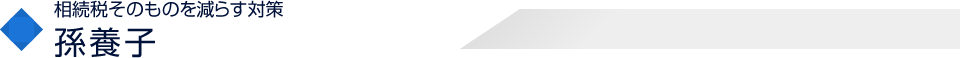 相続税そのものを減らす対策孫養子